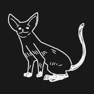 cat doodle drawing N87
