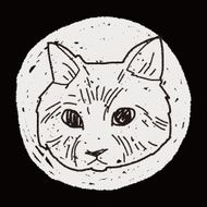 cat doodle drawing N92
