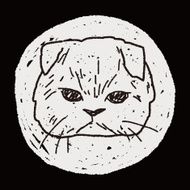 cat doodle drawing N93