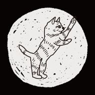 cat doodle drawing N97