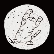 cat doodle drawing N99