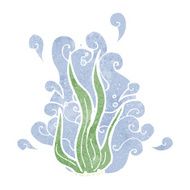 Cartoon Seaweed N17