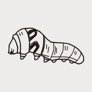 caterpillar doodle N13