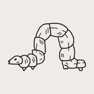 caterpillar doodle N14