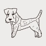 Dog doodle N49