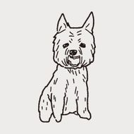 Dog doodle N50