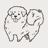 Dog doodle N54