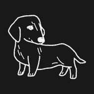 Dog doodle N57