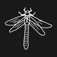 Dragonfly doodle N4