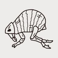 Flea doodle N2