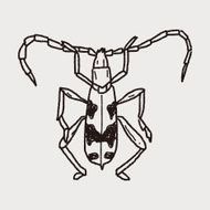 insect doodle N27