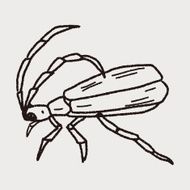 insect doodle N28