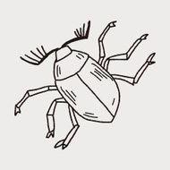 insect doodle N29