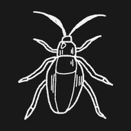 insect doodle N30
