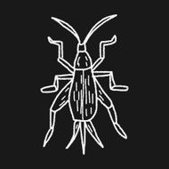 insect doodle N32