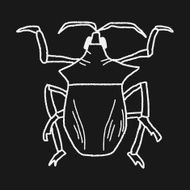 insect doodle N33