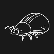 insect doodle N35