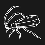 insect doodle N36