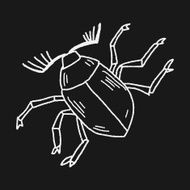 insect doodle N37