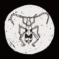 insect doodle N42