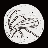 insect doodle N44