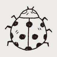 Ladybug doodle N7