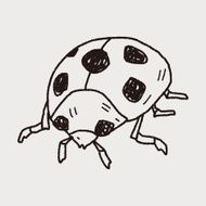 Ladybug doodle N8