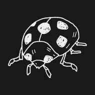 Ladybug doodle N10