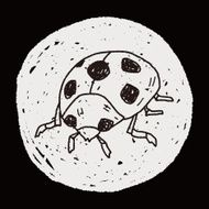 Ladybug doodle N12