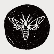 Moth doodle N7