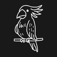 Parrot doodle N9