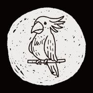 Parrot doodle N11