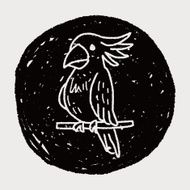 Parrot doodle N13