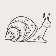 snail doodle N4