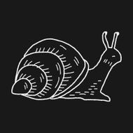 snail doodle N5