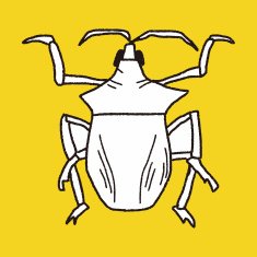 insect doodle N19