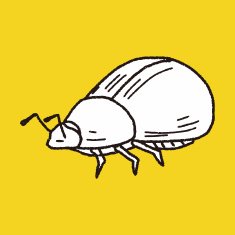 insect doodle N21