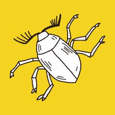 insect doodle N23