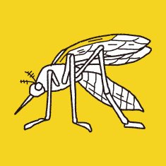 mosquito doodle N3