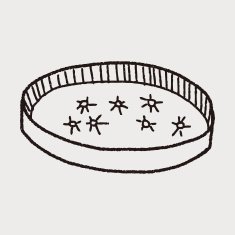 petri dish doodle