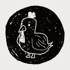 Chicken doodle N24