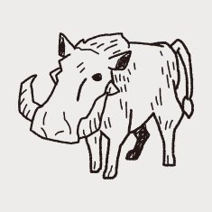 pig doodle N10