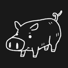 pig doodle N11