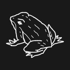 frog doodle N6