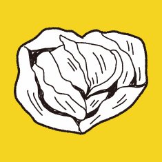 Cabbage doodle N16