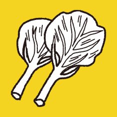Cabbage doodle N19