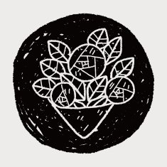 rose flower doodle N27