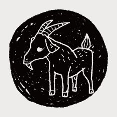 sheep doodle N15