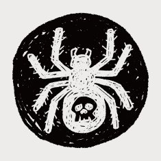 spider doodle N12