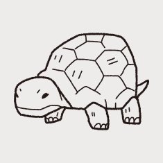 Tortoise doodle N3